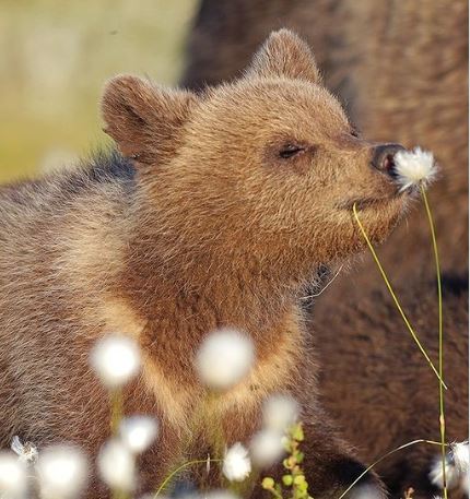 Ettevõtluskoolitused ja teabepäevad
